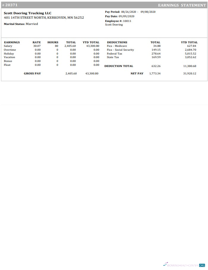 Download Trucking Company Earnings statement Photoshop template